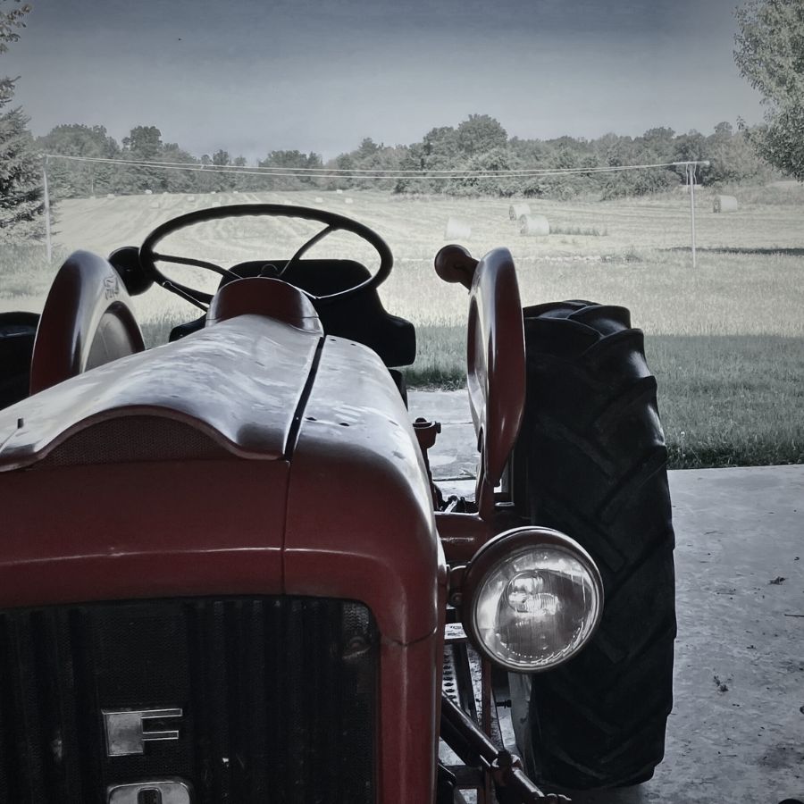 Osage Grove Farm - Pastures for chicken rotation