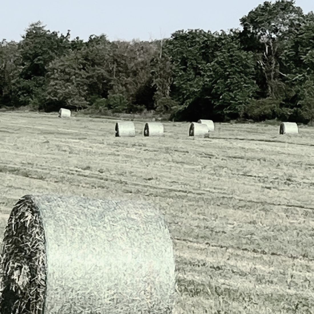 small farm central michigan