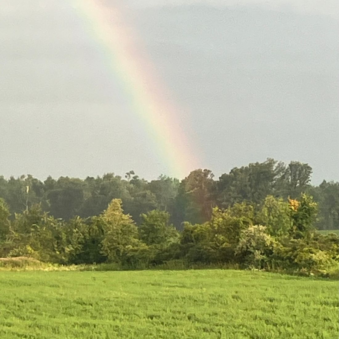 small farm central michigan