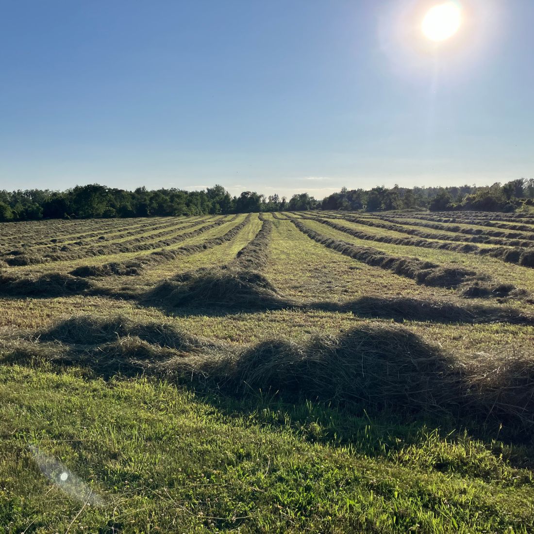 small farm central michigan