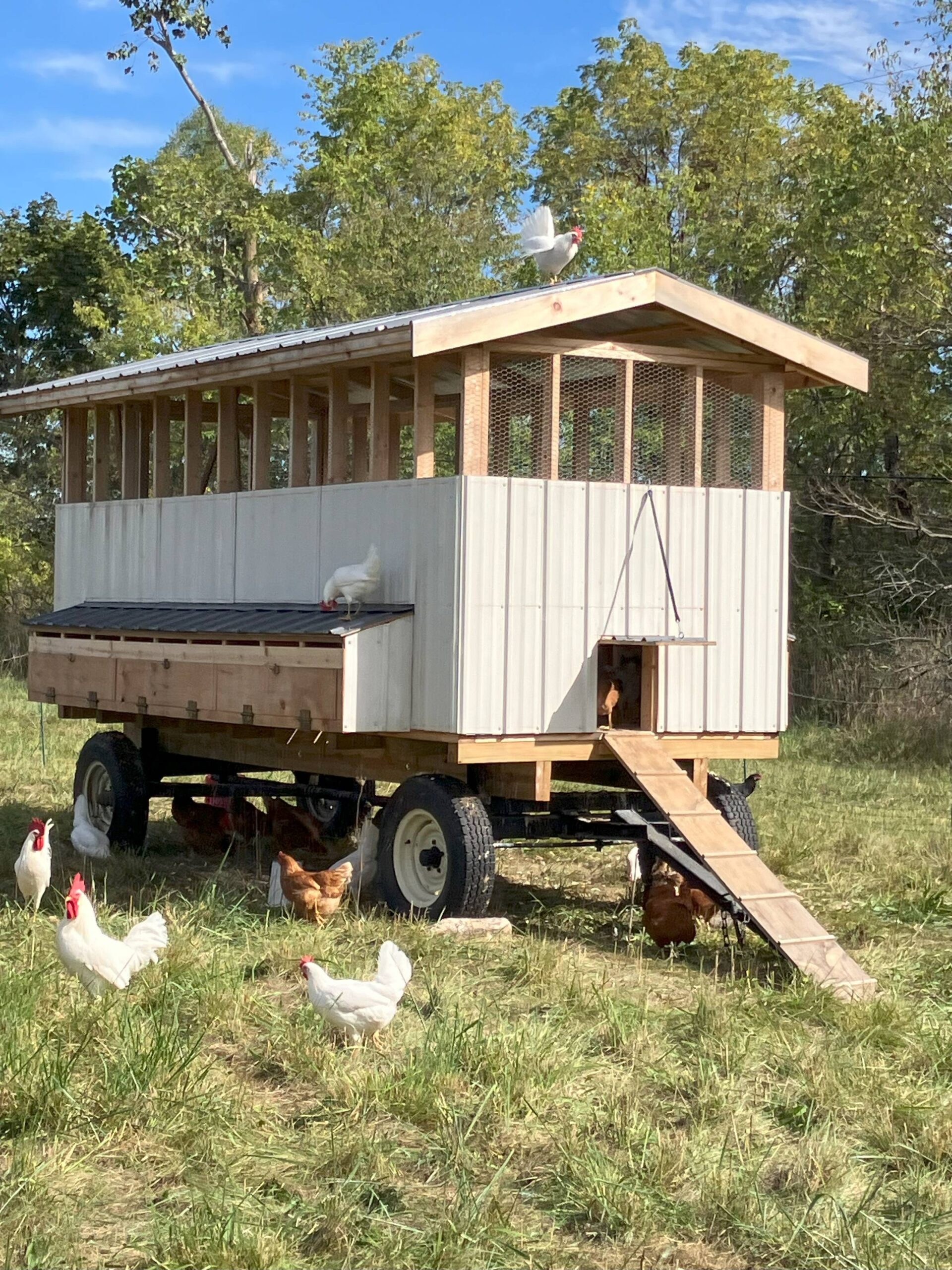 Osage Grove Farm - Pastures for chicken rotation