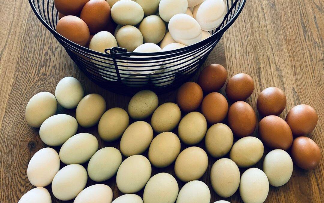 So, What Is Pasture-Raised Poultry?