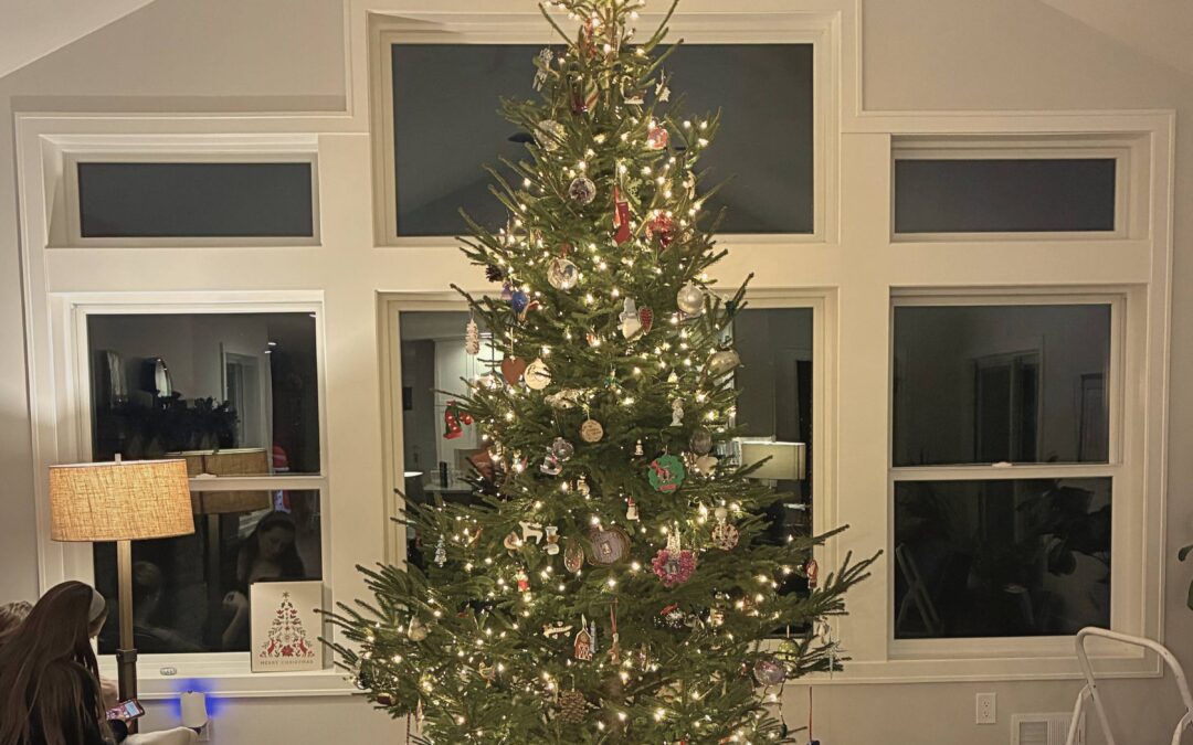 Christmas at Osage Grove Farm