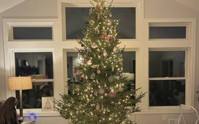 Christmas Traditions